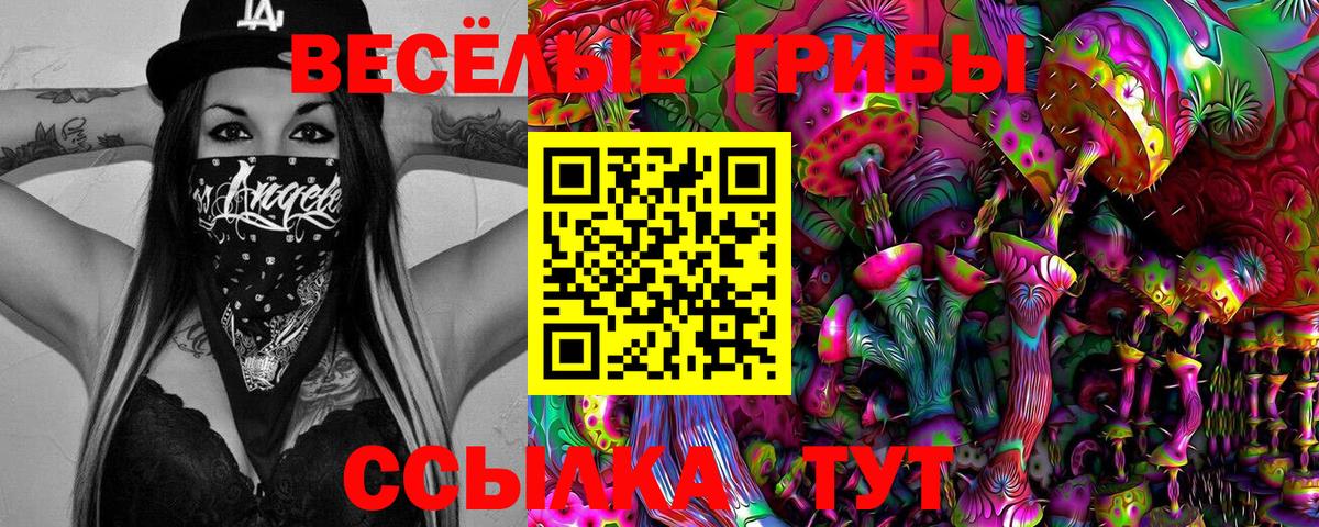Меф мяу мяу Великий Устюг