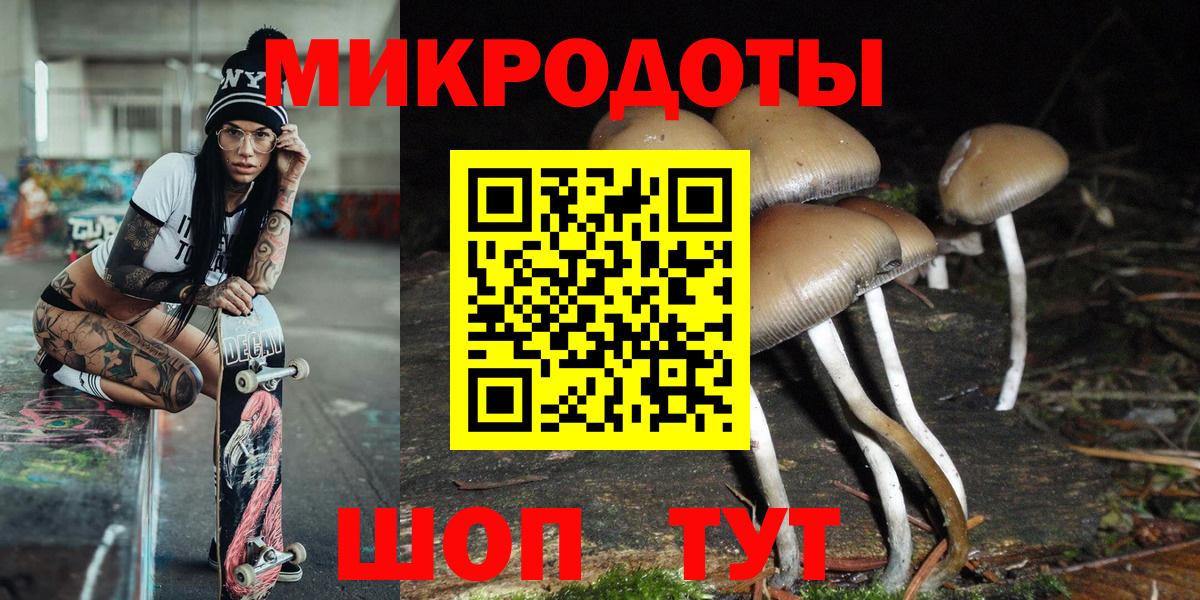 Галлюциногенные грибы Psilocybine cubensis  Галлюциногенные грибы Psilocybine cubensis  Великий Устюг  Вход с VPN 