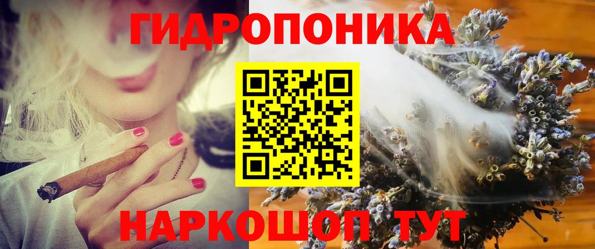 Конопля OG Kush Великий Устюг